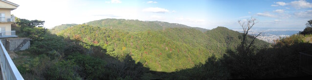 pano_5