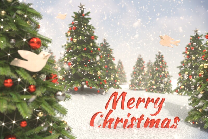 2020_xmas_card