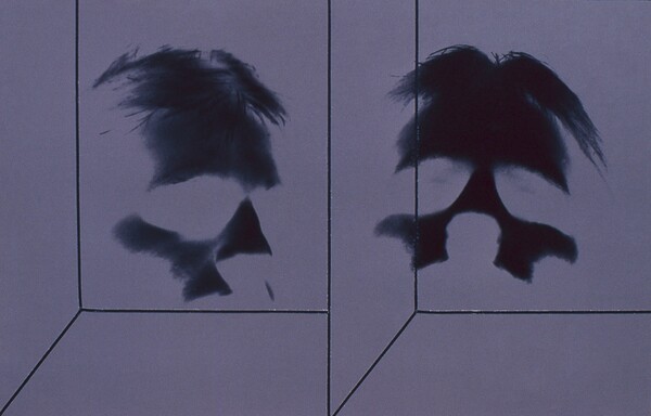 phot_coll_1